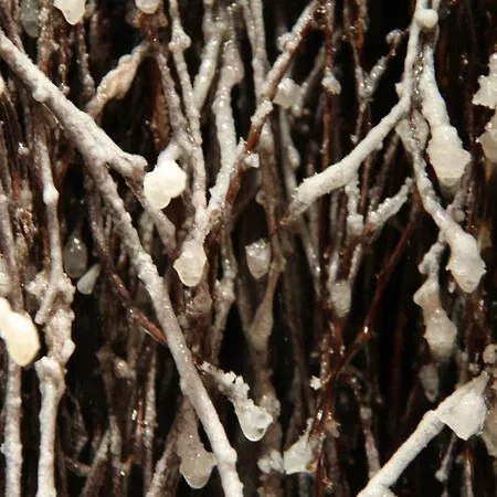 Pajo Ii -rezydencja Tatry--grota Solna--balkon--parking *