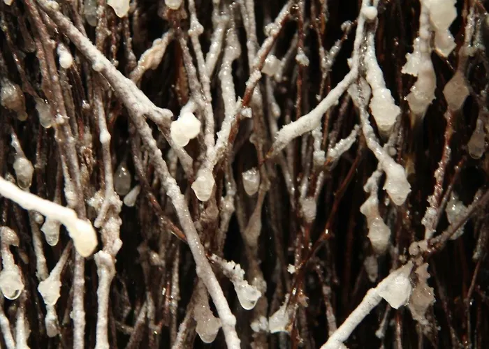 Pajo Ii -rezydencja Tatry--grota Solna--balkon--parking *